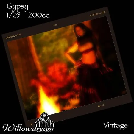 Gypsy(200)[0827] by willowdream