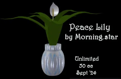 Peace Lily(50){1230} by Morning.star