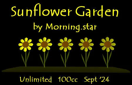 Sunflower Garden(100)[0920] by Morning.star