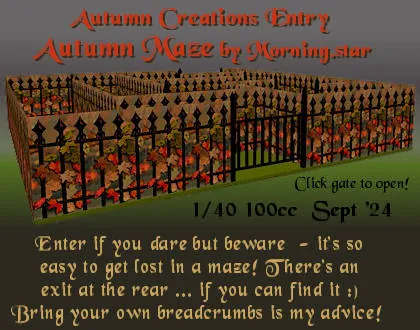 Autumn Maze(100)[0924] by Morning.star