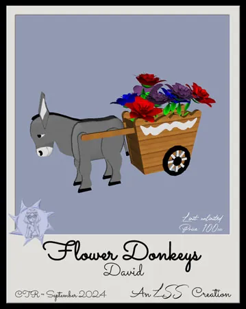 David Donkey(100)[1004] by LSS