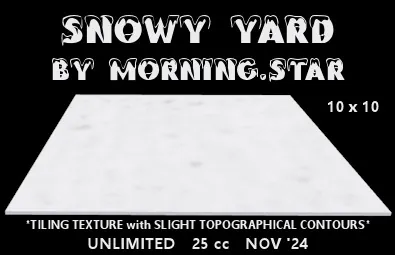 Snowy Yard(25){1103} by Morning.star