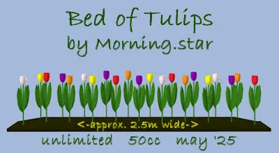 Bed of Tulips(50){0417} by Morning.star