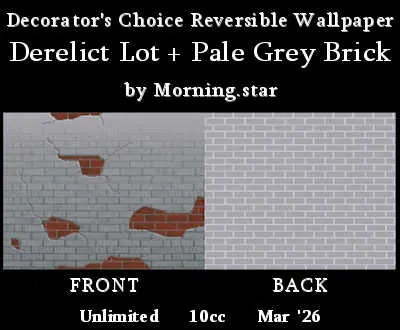 DC Wall Derelict Lot(10)[0403] by Morning.star