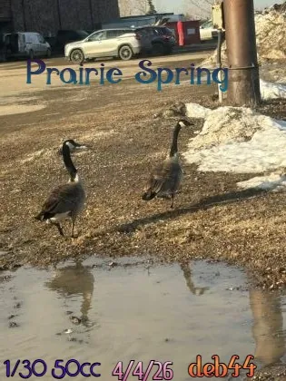 Prairie Spring(50)[0407] by deb44