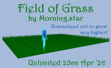 Field of Grass(25)[0421] by Morning.star