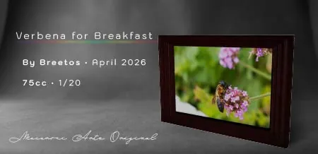 Verbena Breakfast(75)[0424] by Breetos