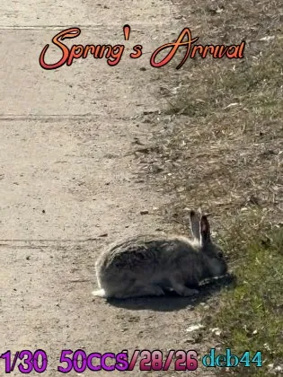 Spring's Arrival(50)[0502] by deb44