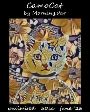 CamoCat(50)[0616] by Morning.star
