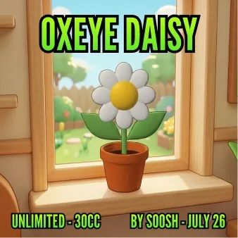 Oxeye Daisy(30)[0707] by soosh