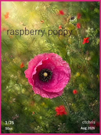 raspberry poppy(50)[0818] by ctchris