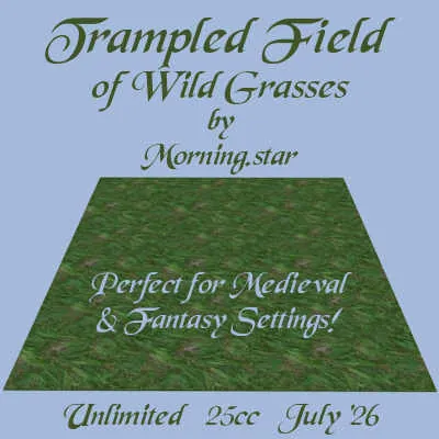 Trampled Field by Morning.star